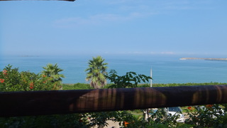 DSCF2387.jpg