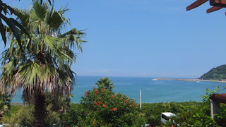 DSCF2397.jpg