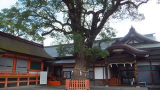 DSCF2668.jpg