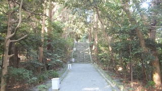 DSCF2693.jpg